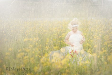 Fairy Tales & Dreams