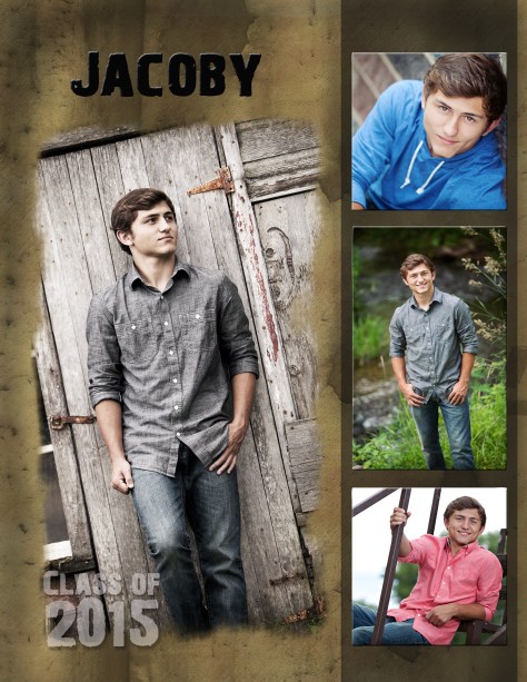 Images by Joyce Meyer ~ RJMeyerArts