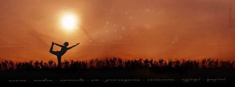 5646_20x8fairydust_tx2