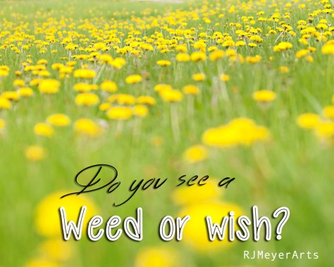 2015_dandi-2dmvcrweb