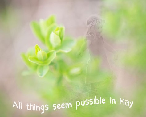 art-0488plcrblendweb2