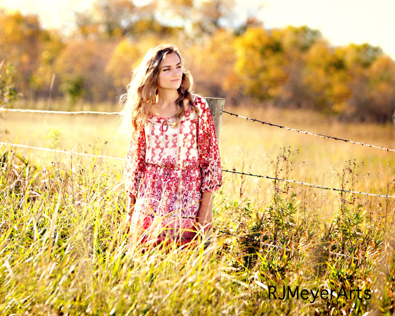 Henn-0190e2shcr-summerdn32