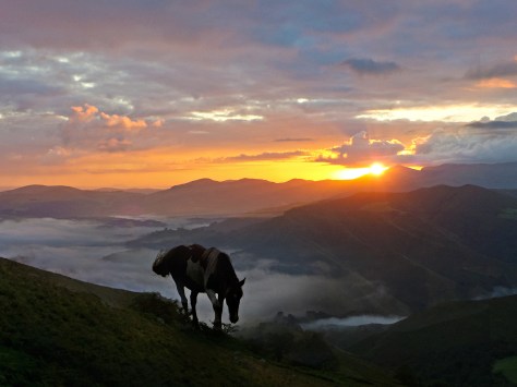 2014Camino-1060917dmvpaintPRINT